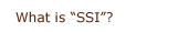 What is SSI?